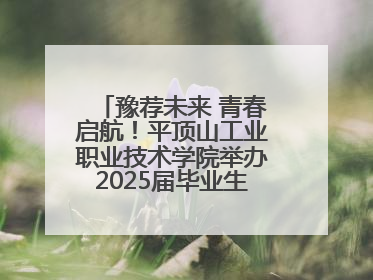 豫荐未来 青春启航！平顶山工业职业技术学院举办2025届毕业生夏季招聘会